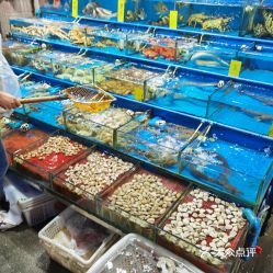 海宝湾水产交易市场 华南地区水产品流通的核心枢纽
